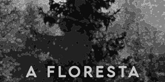 Imagem do grupo de WhatsApp Teste de elenco - A floresta🌲