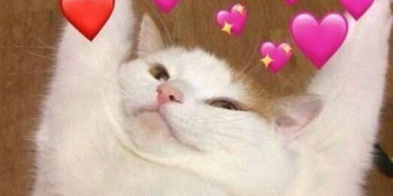 Imagem do grupo de WhatsApp Namoro & Amor