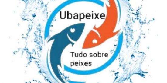 Imagem do grupo de WhatsApp Ubapeixe 🐟