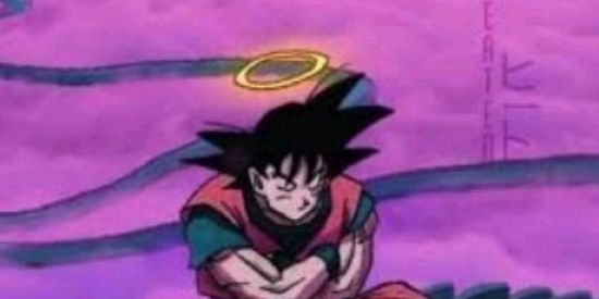 Imagem do grupo de WhatsApp RECRUTAMENTO DA TRIPULAÇÃO FOX PIRATES🦊