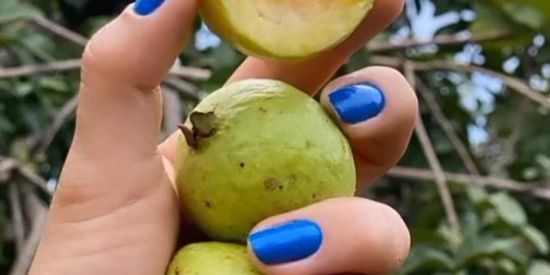 Imagem do grupo de WhatsApp Anotações minha