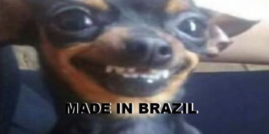 Imagem do grupo de WhatsApp 𝐌𝐀𝐃𝐄 𝐈𝐍 𝐁𝐑𝐀𝐙𝐈𝐋