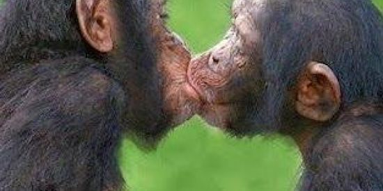 Imagem do grupo de WhatsApp AI ZÉ DA MANGA E NAMORO Ofc 😈❤️