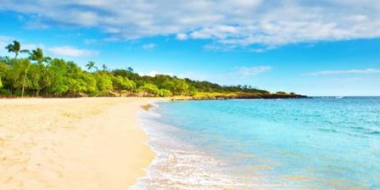 Imagem do grupo de WhatsApp Amor Sem Compromisso