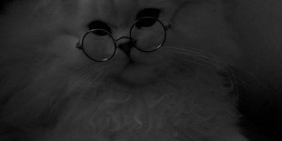 Imagem do grupo de WhatsApp Zueira 😼
