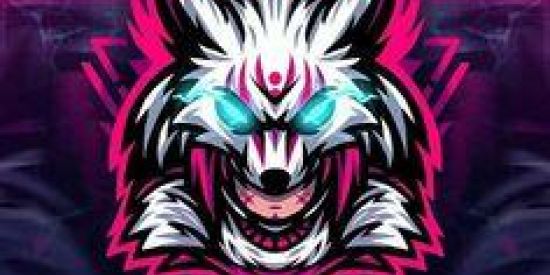 Imagem do grupo de WhatsApp FF op