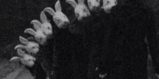 Imagem do grupo de WhatsApp D.W.W