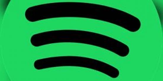 Imagem do grupo de WhatsApp Playlist Spotify 🎹🔥✅