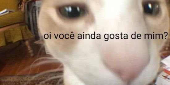 Imagem do grupo de WhatsApp 𝘼𝙈𝙄𝙕𝘼𝘿𝙀 𝘿𝘼 𝙍𝙀𝙑𝙊𝘼𝘿𝘼🐒❤️‍🩹