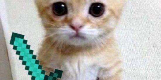 Imagem do grupo de WhatsApp UPAMOS CONTAS NO BLOX FRUIT 🫶🏽