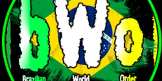 Imagem do grupo de WhatsApp BWO - Brazilian World Order🇧🇷