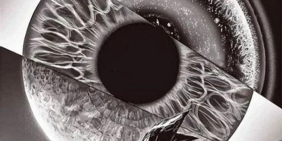 Imagem do grupo de WhatsApp 👑