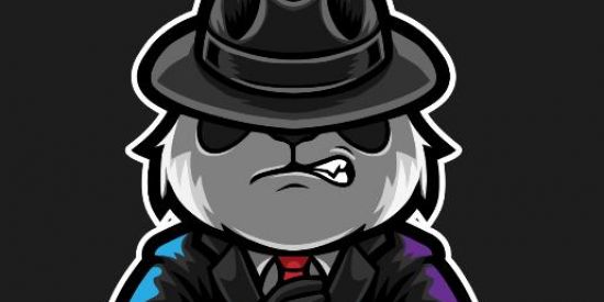 Imagem do grupo de WhatsApp FORÇA TAREFA 141