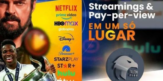 Imagem do grupo de WhatsApp 🎞️ Filmes 🎥 Séries 🎭 Desenhos