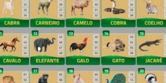 Imagem do grupo de WhatsApp JOGO DO BICHO👀🍀🐔