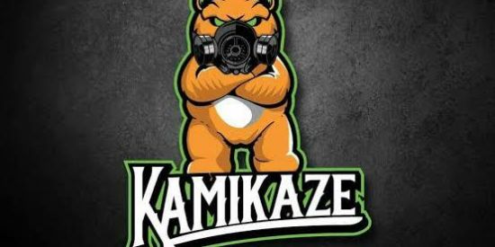 Imagem do grupo de WhatsApp 1. VAGAS PARA ADMS 📌