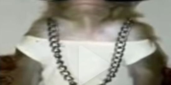 Imagem do grupo de WhatsApp Sla só entrai e vem se divertir