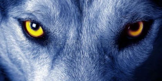 Imagem do grupo de WhatsApp BONDE DOS LOUCOS(AS)