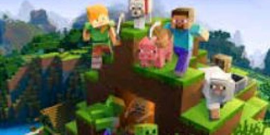 Imagem do grupo de WhatsApp Minecraft