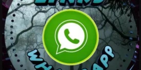 Imagem do grupo de WhatsApp Divulgação