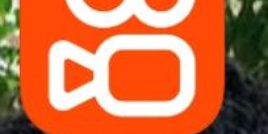 Imagem do grupo de WhatsApp Kaway