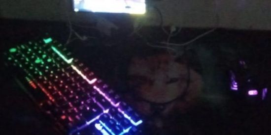 Imagem do grupo de WhatsApp Tropa do @deivinho xit 🤪📱⌨️🖱️