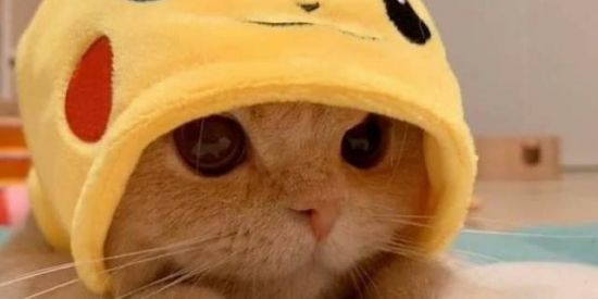 Imagem do grupo de WhatsApp Grupo apenas para meninas!!!❤️