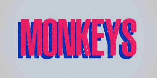 Imagem do grupo de WhatsApp MONKEYS