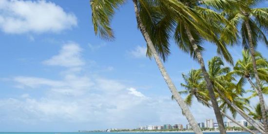 Imagem do grupo de WhatsApp Mcz resenha !! 🌴