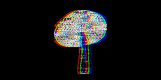 Imagem do grupo de WhatsApp COGUMELO MÁGICO 🍄🍄🍄