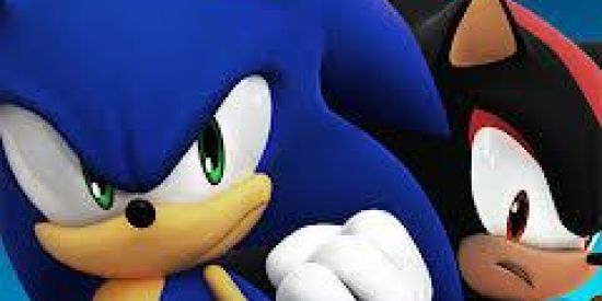 Imagem do grupo de WhatsApp SONIC FORCES