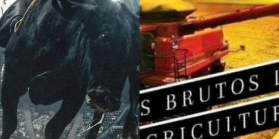 Imagem do grupo de WhatsApp MUNDO DO RODEIO, E AGRICULTURA.🚜🌱🌱🍃🍃🍂🐎🐎🐂🐄🐃🐃🐴🍂🍂