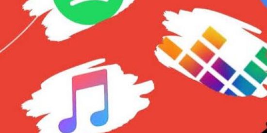 Imagem do grupo de WhatsApp Divulgação e Seguidores - Spotify, Deezer, Amazon Music etc…