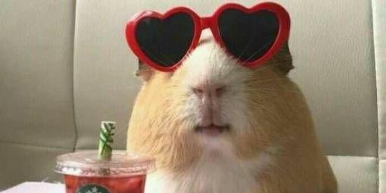 Imagem do grupo de WhatsApp ₊˚.ೃೀ𝚳𝚯𝚯𝚴✰𝐂𝚮𝚫𝚻፝֯֟⋆⁺˖⸙̭❛◌*̥₊