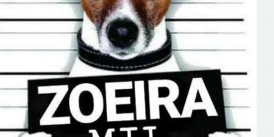 Imagem do grupo de WhatsApp 😎100% zueira 🤪