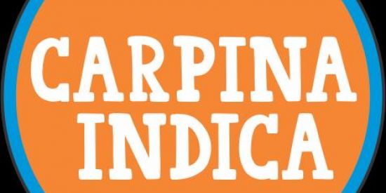 Imagem do grupo de WhatsApp CARPINA INDICA 🛍️