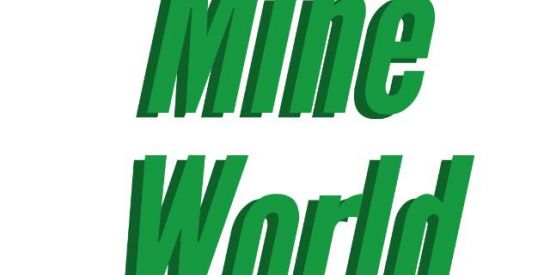 Imagem do grupo de WhatsApp 🌎Mine World 🌍