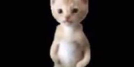 Imagem do grupo de WhatsApp exposed de livros