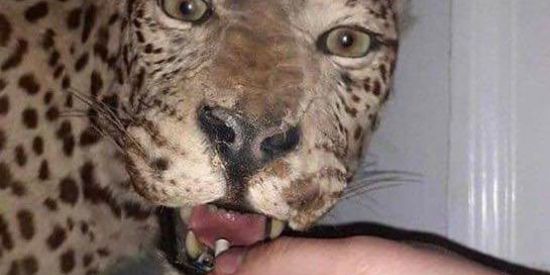 Imagem do grupo de WhatsApp 🧨TROPA DOS Smoking ⚜️