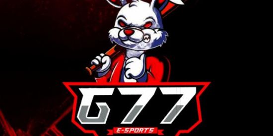 Imagem do grupo de WhatsApp Guilda Hindraa🈯