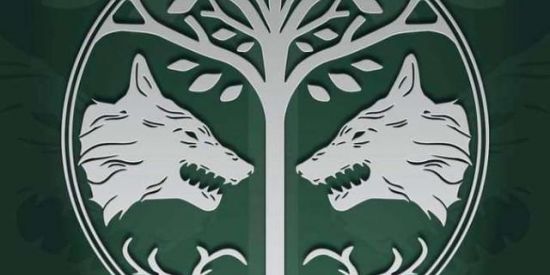 Imagem do grupo de WhatsApp TeamWolf - Destiny PS3