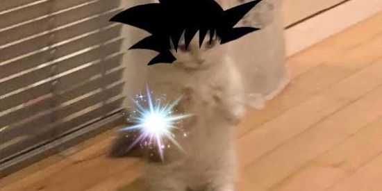 Imagem do grupo de WhatsApp Grupo de adolescentes 14 a 18