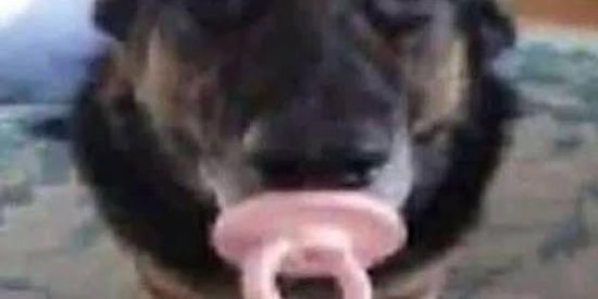 Imagem do grupo de WhatsApp Tuc Tuc 😈❤‍🔥
