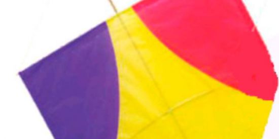 Imagem do grupo de WhatsApp Pipeiros