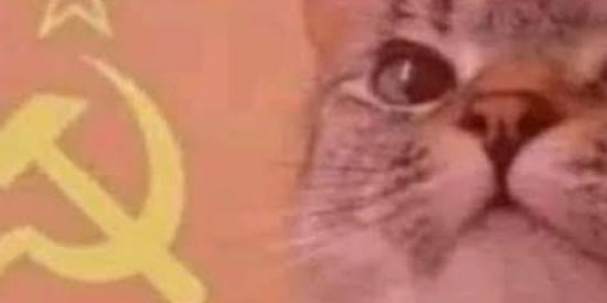 Imagem do grupo de WhatsApp HOSPICIO ANORMAL