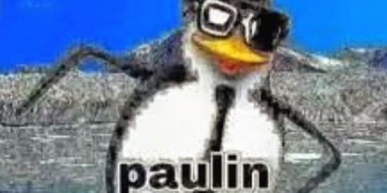 Imagem do grupo de WhatsApp 𝙿𝙰𝚄𝙻𝙸𝙽 𝙱𝙰𝙲𝙰𝙽𝙰 𝟸.𝟶 ♯