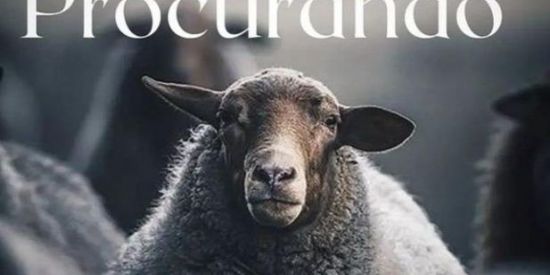 Imagem do grupo de WhatsApp O PAI ESTA TE PROCURANDO