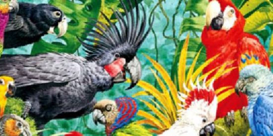 Imagem do grupo de WhatsApp 𝙼𝚞𝚗𝚍𝚘 𝚍𝚊𝚜 𝙰𝚟𝚎𝚜 🦜