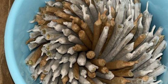 Imagem do grupo de WhatsApp Socialzinha