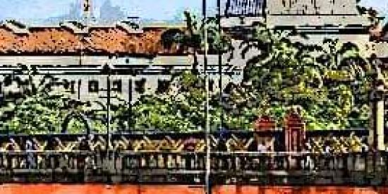 Imagem do grupo de WhatsApp Arquitetura e Paisagismo 🌳📐✒️